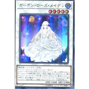 画像: 【特価品】ガーデン・ローズ・メイデン DP21-JP023（ウルトラレア）