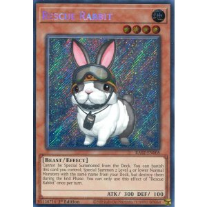 画像: 【特価品】英語版 レスキューラビット RA02-EN008 1st（シークレットレア）