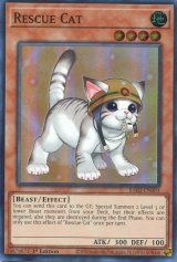 画像: 【特価品】英語版 レスキューキャット（新規イラスト）1st RA02-EN001（スーパーレア）