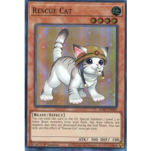 画像: 【特価品】英語版 レスキューキャット（新規イラスト）1st RA02-EN001（スーパーレア）