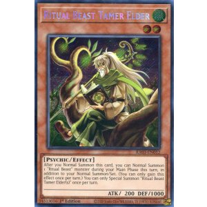 画像: 【特価品】英語版 霊獣使いの長老 RA03-EN012 1st（シークレットレア）