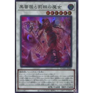 画像: 【特価品】黒薔薇と荊棘の魔女 DOOD-JP040(スーパーレア)