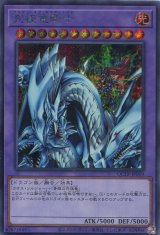 画像: 究極竜騎士 QCLP-JP019（シークレットレア）