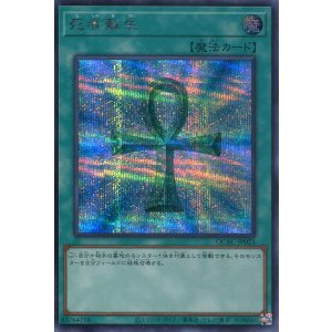 画像: 死者蘇生（通常イラスト） QCAC-JP023（シークレットレア）