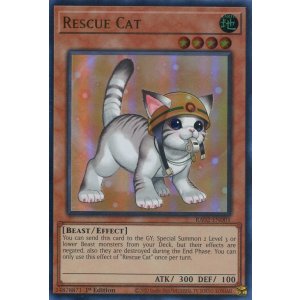 画像: 【特価品】英語版 レスキューキャット(新規イラスト)1st RA02-EN001(ウルトラレア)
