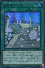 画像: 【特価品】白薔薇の回廊 20PP-JP011（ウルトラレア）