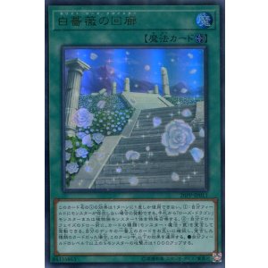 画像: 【特価品】白薔薇の回廊 20PP-JP011（ウルトラレア）