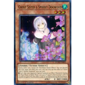 画像: 【特価品】英語版 儚無みずき DUDE-EN005 1st(ウルトラレア)