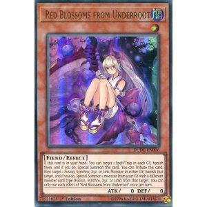 画像: 【特価品】英語版 カクリヨノチザクラ DUDE-EN006 1st（ウルトラレア）