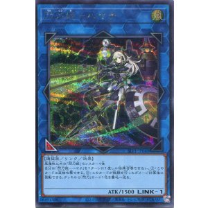 画像: 閃刀姫-ハヤテ SLF1-JP040(シークレットレア)