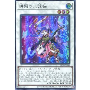 画像: 燐廻の三弦猫 25DB-JP036（スーパーレア）