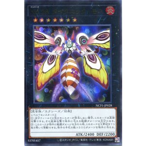 画像: 【特価品】Ｎｏ.２８ タイタニック・モス NCF1-JP028（ウルトラレア）