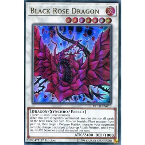 画像: 【特価品】英語版 ブラック・ローズ・ドラゴン DUDE-EN010 1st(ウルトラレア)