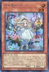 画像: 【特価品】白き森のリゼット LOCR-JP056（シークレットレア）