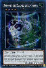 画像: 【特価品】英語版 神羊樹バロメット CYAC-EN097 1st（スーパーレア）