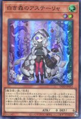 画像: 白き森のアステーリャ INFO-JP013（スーパーレア）