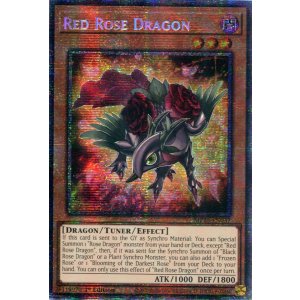 画像: 【特価品】英語版 レッドローズ・ドラゴン MP25-EN037 1st(スターライトレア)