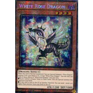画像: 【特価品】英語版 ホワイトローズ・ドラゴン MP25-EN038 1st(スターライトレア)