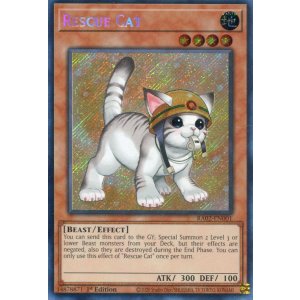 画像: 【特価品】英語版 レスキューキャット(通常イラスト) RA02-EN001 1st(シークレットレア)