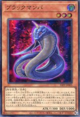 画像: 【特価品】ブラックマンバ 22PP-JP005（スーパーレア）