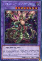 画像: 【特価品】英語版 捕食植物ドラゴスタペリア RA01-EN027 1st（シークレットレア）