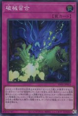 画像: 【特価品】破械習合 RV01-JP053（スーパーレア）