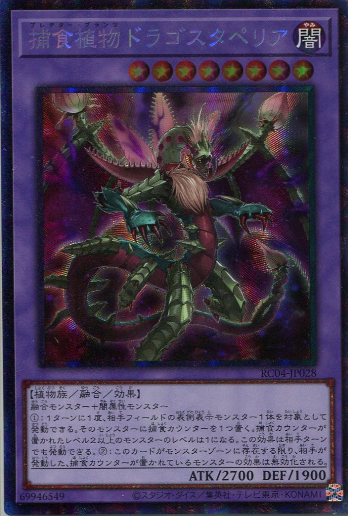 画像1: 捕食植物ドラゴスタペリア RC04-JP028（コレクターズレア）